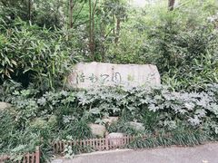 -成都市活水公园