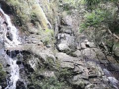 -呀诺达热带雨林
