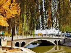 -北京市车辆管理所京海分所