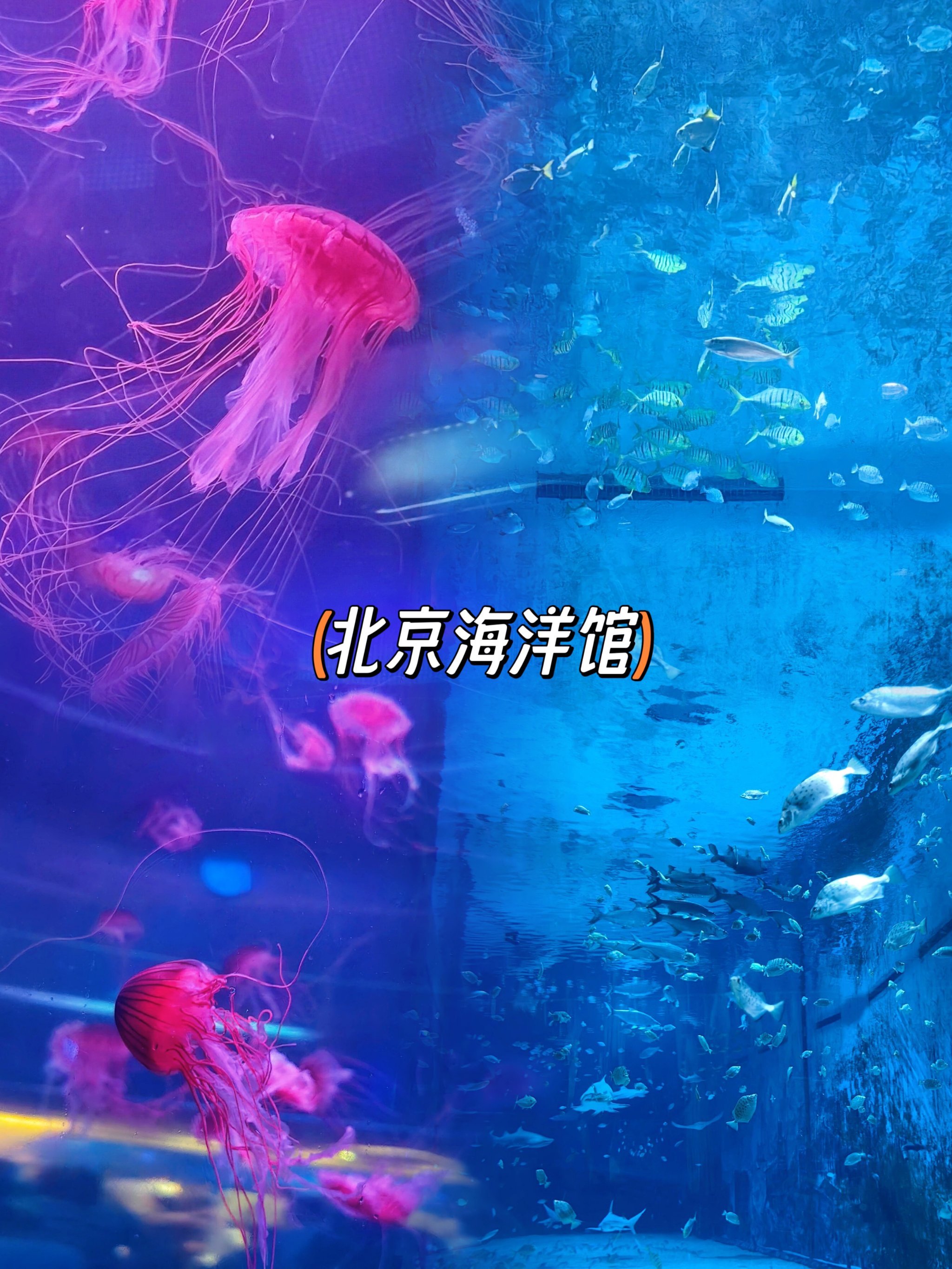 https://qcloud.dpfile.com/pc/zNMV2TacqBoQcvicAhjuNNATJUXj5T0tO5R9PXdKaLLHWuwFBXT9YeAHDmQbAWINY0q73sB2DyQcgmKUxZFQtw.jpg
