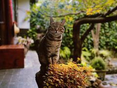 -炊烟餐厅
