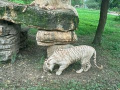 -上海野生动物园