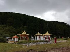 -四川郎木寺镇