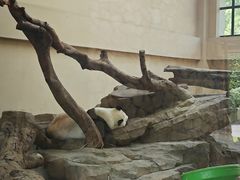 -宁波野生动物园