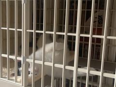 -达爱动物医院·犬猫分区·CT·复杂眼科(远洋山水分院)