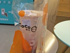 -CoCo都可(惠福店)