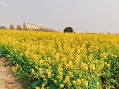 -中国天府农业博览园