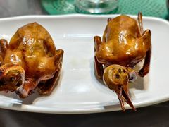 -东鸽皇(奥园·中环广场店)