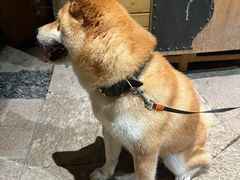 -和顺古镇