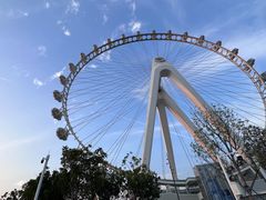 -7-ELEVEn(深圳宝安机场近14登机口)