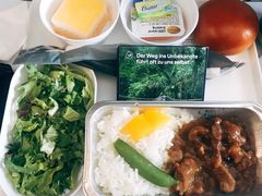 -德国汉莎航空公司