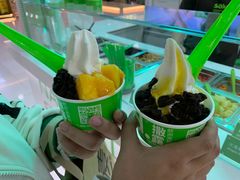 -Salud撒露欧洲冻酸奶(五道口购物中心店)