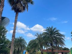 -宁波九龙湖开元度假村