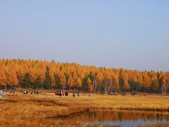 -塞罕坝国家级自然保护区