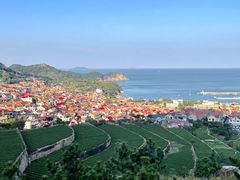 -崂山仰口游览区