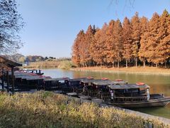 -溱湖国家湿地公园