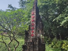 -王借岗森林公园