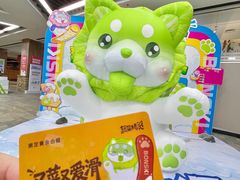 -哈尔滨热雪奇迹
