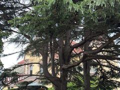 -青岛德国总督楼旧址博物馆