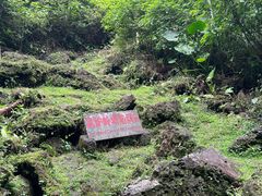 -海口火山口国家地质公园