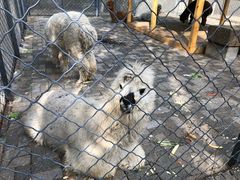 -长白岛森林公园