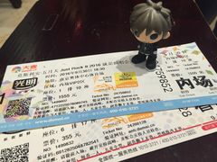 -南京奥林匹克体育中心-体育馆