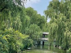 -济南大明湖景区