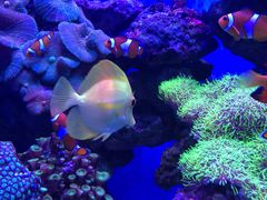 -多彩贵州城极地海洋世界