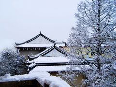医院雪景-上海市嘉定区中医医院