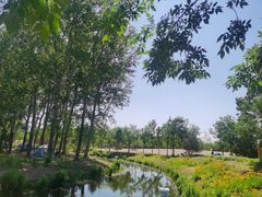 -东郊湿地公园