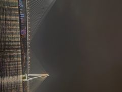 -武汉两江游览·夜游长江(汉口粤汉码头)