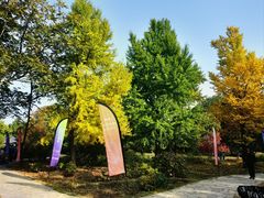 -国家植物园南园