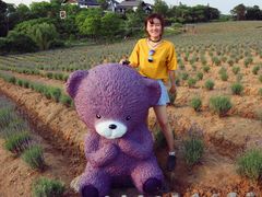 -大塘金香草谷