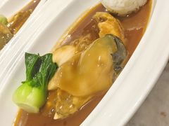 古法红烧河豚鱼-云锦壹号·淮扬宴(徐汇万科店)