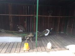 -太极禅苑