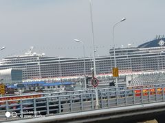 -吴淞口国际邮轮码头-停车场