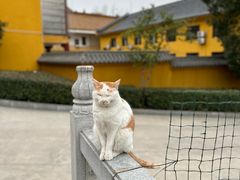 -宝通禅寺