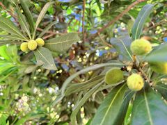 -宝岩生态观光园