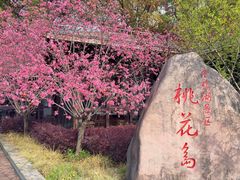 -金鸡湖桃花岛