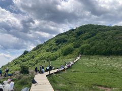 -白草畔自然风景区