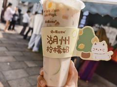 柠檬奶-猫的魔法密林(衣裳街店)