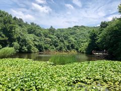 -天目湖山水园