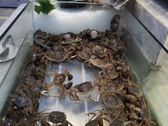 -川骄海鲜自助(河东店)