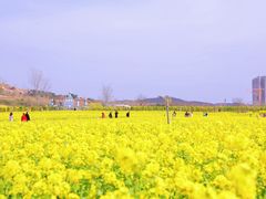 -西海岸生态观光园