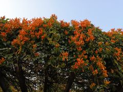 -雀儿山公园