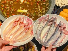 -石锅苗苗鱼(武汉首店)