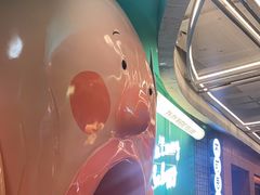 -不可思议减压馆·解压博物馆·摔碗发泄·团建定制