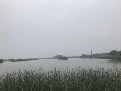 -太湖湖滨国家湿地公园-停车场