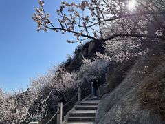 -北京凤凰岭
