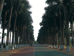 -南宁花花大世界景区